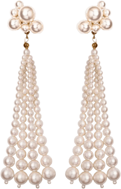 Charlena earrings 
