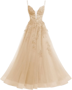 Raseal Women's Spaghetti Straps Tulle Long Appliques Lace Glitter Prom Party Cocktail Dress with Pockets RS077 4 Champagne