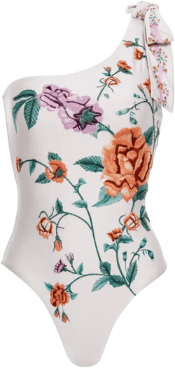 Remedios Chineses swimsuit 