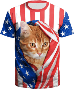 National Flag Day T Shirts Printed Outdoor All-Matching Short Sleeve T-shirt