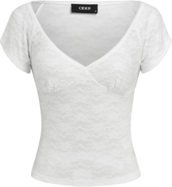 Lace V-neck Floral Short Sleeve Tee