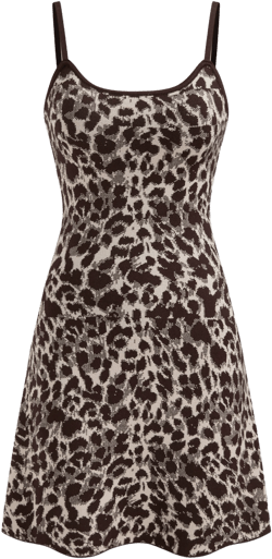 Knit Scoop Neckline Leopard Mini Dress