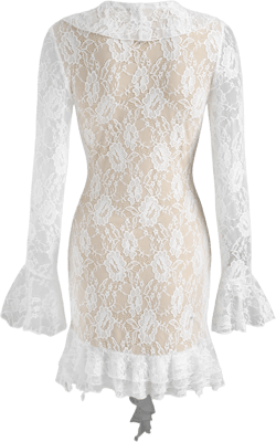 Lace V-neck Floral Ruffle Mini Dress