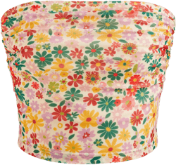Mesh Floral Ruched Crop Tube Top