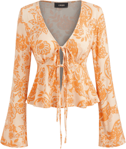 V-neck Paisley Long Sleeve Blouse