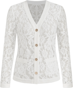 Lace V-neck Floral See-through Long Sleeve Blouse