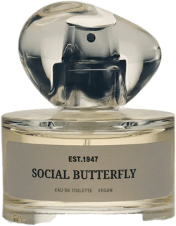 Social Butterfly Fragrance