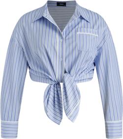 Cotton-blend Collar Stripe Long Sleeve Blouse Curve & Plus