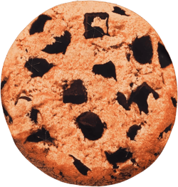 Chocolate Chip Cookie Costume Funny Food Halloween Costume for Toddler Adults Women Men Family Cosplay Party Prop