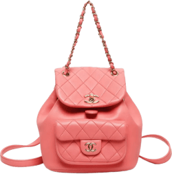2015-2024s mini Matelasse backpack