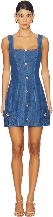 Maris Mini Dress ELLIATT