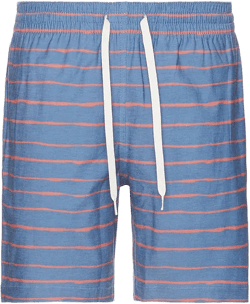The Tributes 7" Swim Short Chubbies