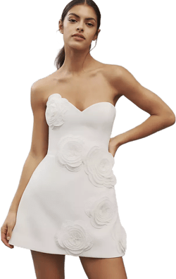 Helsi Gia Strapless Sweetheart 3D Floral Mini Dress