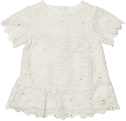 Sequined Lace Dress