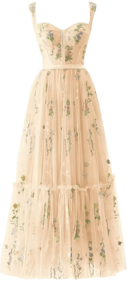 Women's Flower Embroidery Tulle Prom Dresses Corset Long Spaghetti Strap Fairy Ruched Formal Evening Party Gown 2 Tea Length-champagne
