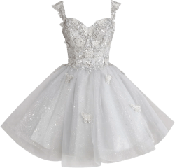 Sparkly Homecoming Dress Lace Appliques Short Prom Dress for Evening Party 3D Butterfly Cocktail Dress RA06 26 Plus Silver