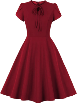 Wellwits Women's Petal Sleeves Vintage Cocktail Dress
