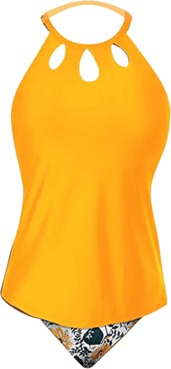 Two Piece Tankini Swimsuits for Women Cutout Halter Neck Tummy Control Bathing Suit with High Waist Brief Swimwear Set