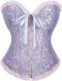 Generic Corset Tops for Women Plus Size Bustier Tops Sexy Overbust Corsets Boned Lace Up Tube Tops Vintage Renaissance Tops : Sports & Outdoors