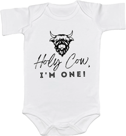 Holy Cow I'm Cute Onesie Cute Moo Cow Print Unisex Clothes Newborn Pregnancy Announcement Baby Boy Girl Shower Gift Idea (12-18 Months, One Birthday-Short Sleeve Romper)