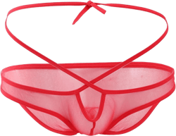 JEsilunmaMY Men's Hollow Out Sissy Panties Cross Waist See Through Bikini Briefs Mesh Sheer Strappy T-Back Underwear One Size Red-1pc