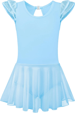 Girls Ballet Leotard for Dance Skirted Dresses with Ruffle Sleeves, Hollow Back, Mesh Hi-Low Skirt