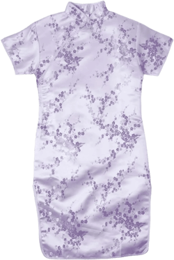 Toddler Infant Girls Cheongsam Stand up Collar Plated Buckle Chinese Retro Pattern Pageant Performance Dresses: Clothing, Shoes & Jewelry