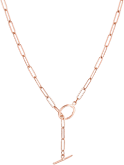BVGA Chain Choker Necklace Paperclip Toggle Clasp Simple Y Necklace Oval Rectangle Link Chain Layering Necklace for Women Gold Silver (Rose Gold): Clothing, Shoes & Jewelry