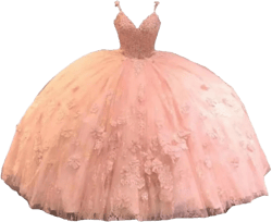 Floral 3D Flowers Applique Lace Quinceanera Dresses Sweet 16 Girls Ball Gowns Tulle Women Dress 2025 14 Light Pink