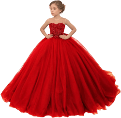 Girls Pageant Dress Beaded Appliques Flower Girl Dresses Tulle Sleeveless Party Ball Gown for Kids 2 Red