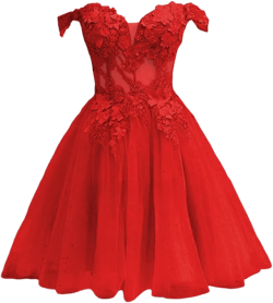 Zhangyo Glitter Lace Homecoming Dresses for Teens Tulle Appliques DAMA Dresses for Quinceanera Off Shoulder Short Ball Gown 14 Red