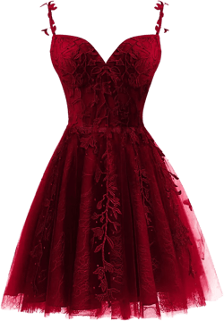 Tulle Homecoming Dresses for Teens 2024 Spaghetti Strap Lace Applique Short Prom Dress Mini Cocktail Gown 20 Plus Wine Red