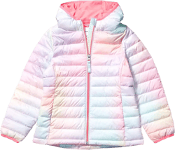 Amazon Essentials Girls and Toddlers' Lightweight Water-Resistant Packable Hooded Puffer Jacket 3T Pink Ombre