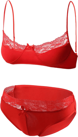 Men'S Sissy Bikini Crossdressing Lingerie Sheer Floral Lace Bra Low Rise Mesh Panties Sexy Crossdresser Underwear X-Large Red-1pc