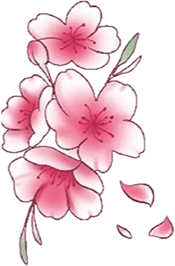 Cherry Blossom Temporary Tattoo Waterproof Women'S Ancient Style Clavicle Pink Girl Flower Simulation Sticker