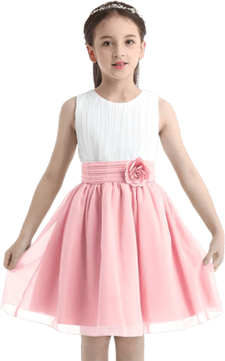 Jelory Kids Elegant Flower Girl Pleated Chiffon Dress 3D Applique Wedding Bridesmaid Dress Pageant Party Ball Gown 12 Z1 White&pink