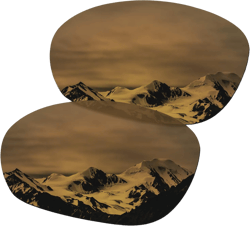SmartVLT Women's Replacement Lenses/Nosepieces for Oakley Pulse OO9198 Sunglass - More Options Bronze Gold Truly Polarized