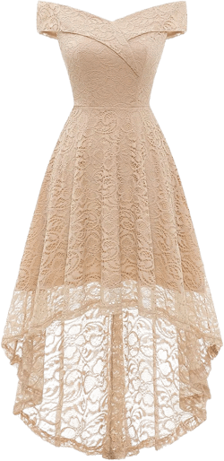HomRain Women's Elegant Floral Lace Dress Off The Shoulder High Low Hem Dresses for Wedding for Cocktail for Party