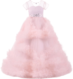 ZHengquan Girls Sweetheart Neck Pageant Tulle Dresses Short Sleeve Dress Beaded Princess Flower Dress Birthday Gowns 5 Light Pink