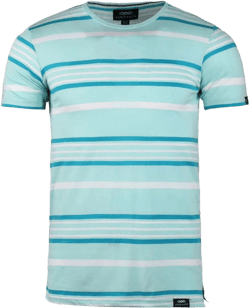 Men's Striped T-Shirt Collection - Casual & Comfortable Cotton Tees, Variety of Colors X-Large Aqua Forest Finesse