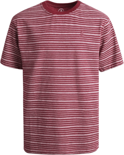 Volcom Boys T Shirt - Cotton Blend Short Sleeve Graphic Tees for Boys - Cool Casual Graphic T Shirts 16 Burgundy Stripes