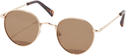 AE Retro Round Brown Sunglasses