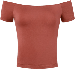INSPIRE CHIC Women's Short Sleeves Off The Shoulder Stretchy Fabric Solid Crop Top Brownish Red Small