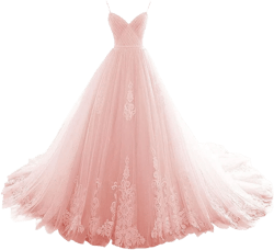 Vjjllst Women's V Neck Prom Dress Long Quinceanera Dresses Tulle Formal Evening Gowns Appliques Pleat 14 Pink