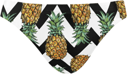 Pineapples Seamless On Black White Chevron Sexy Men Swim Brief Trunks Beach Bikini for Men, Swim Underwear Low Waist Quick Dry Swimwear Thong Swimsuit Boxer Shorts(XXL) | Amazon.com