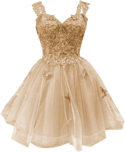 3D Butterfly Short Homecoming Dresses Off Shoulder Sparkly Tulle Prom Dress Teens DAMA Dresses for Quinceanera Champagne 20 Plus