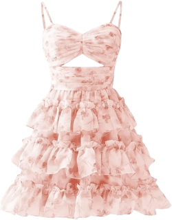 RSOETOO Flower Embroidery Tulle Homecoming Dresses Fairy Short 2024 for Juniors Sparkly Fairy Short Prom Dresses for Teens Puffy Blush Pink 2