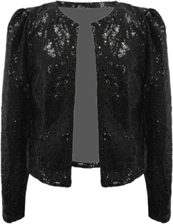 Women Casual Fashion Sequin Sequins Sparkling Cardigan Fall Jackets for Women Trendy Womens Coat Black X-Large