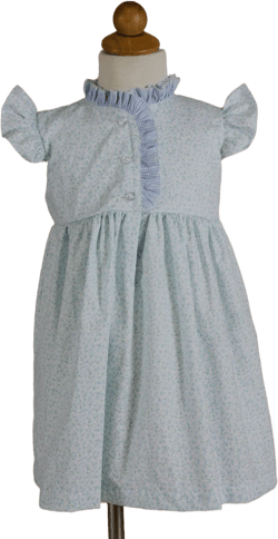 Ashley Dress - Blue Floral