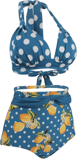 Women's Floral Halter High Waist Bikini Swimsuit Floral Printing Bathing Suits 2 Pieces 14 2-blue Dot